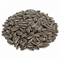 Sunflower Seeds