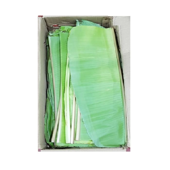 Banana Leaves Box