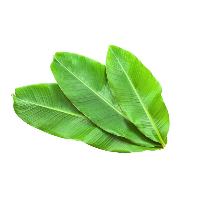 Banana Leaves