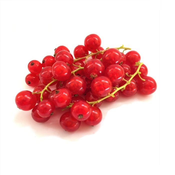 Red Currant