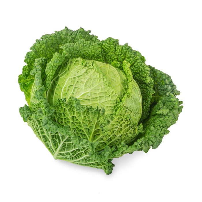 Cabbage Savoy