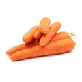 Carrot
