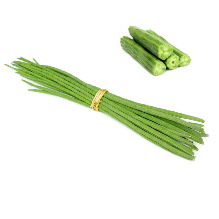 Drumstick Premium