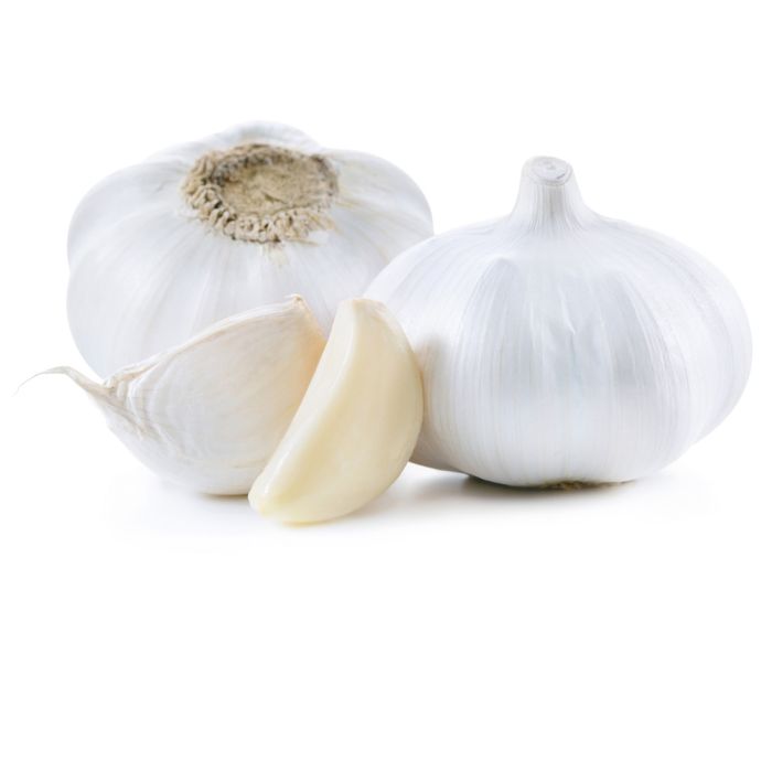 Garlic China