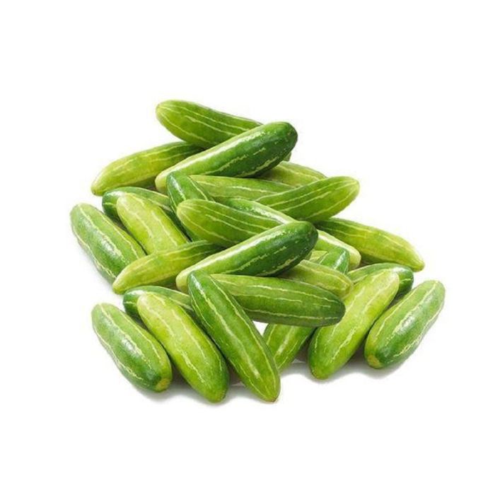 Tindly (Ivy Gourd) Premium