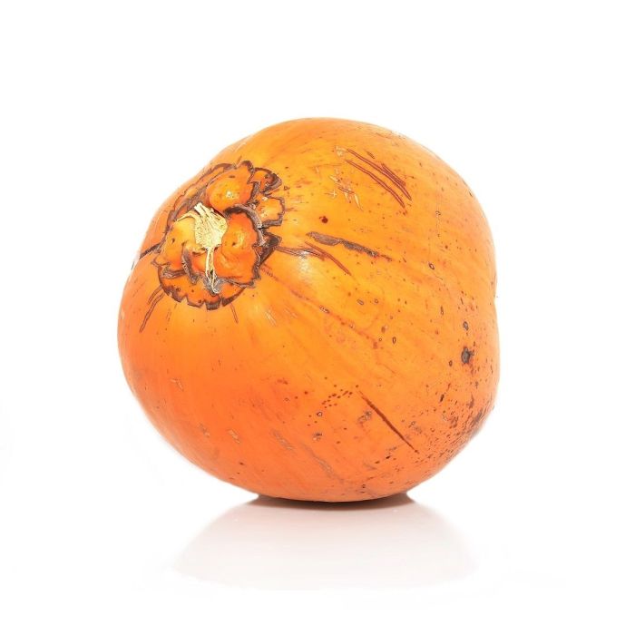 Coconut King/Yellow